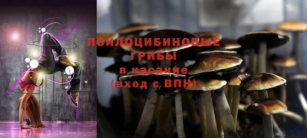 apvp Пестово