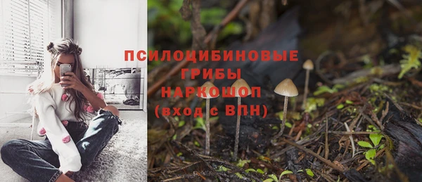 амфетамин Алексин