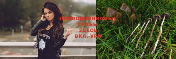 каннабис Алзамай