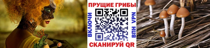 маркетплейс Telegram  Зерноград  Псилоцибиновые грибы прущие грибы 